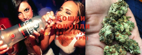 стафф Вяземский