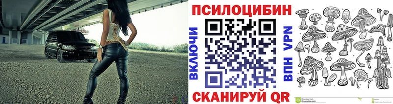 KRAKEN как зайти  Гусев  Галлюциногенные грибы мицелий 
